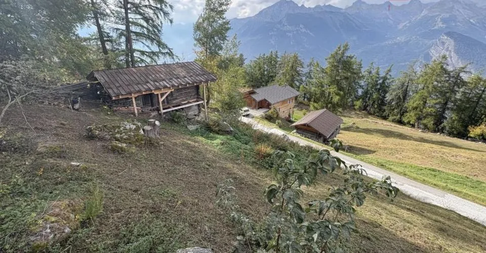 Magnifique parcelle aux portes de Haute-Nendaz – foto 4 di 5