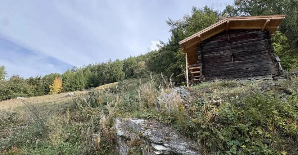 Magnifique parcelle aux portes de Haute-Nendaz – foto 2 di 5