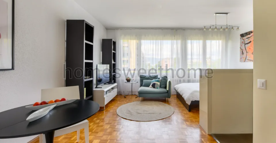 Appartement 1,5 pièces Dumas (avenue) – Foto 3 von 7