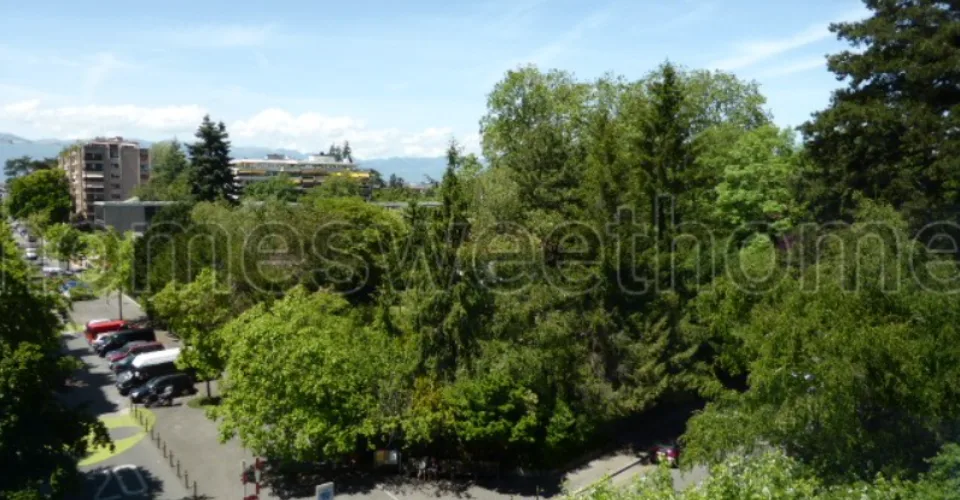 Appartement 1,5 pièces Dumas (avenue) – Foto 7 von 7