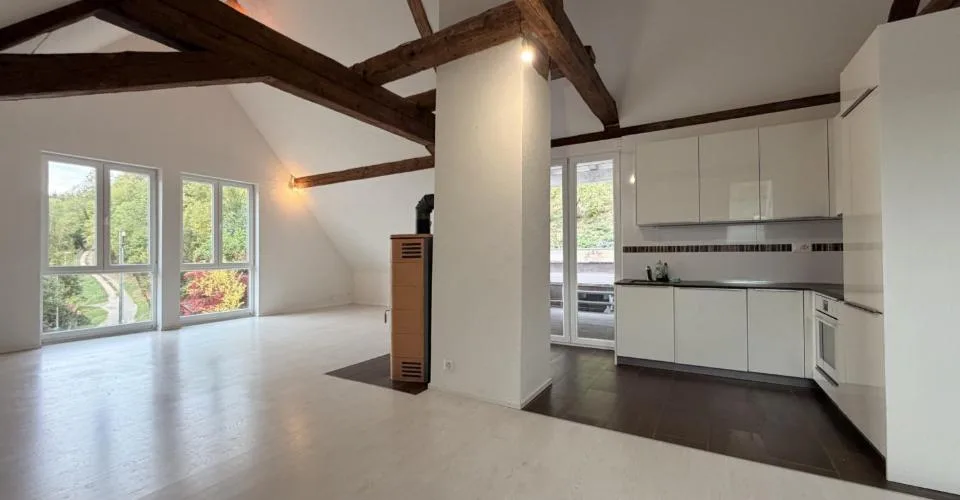 A louer charmant appartement de 4,5 pièces avec terrasse à Asuel – Foto 4 von 12