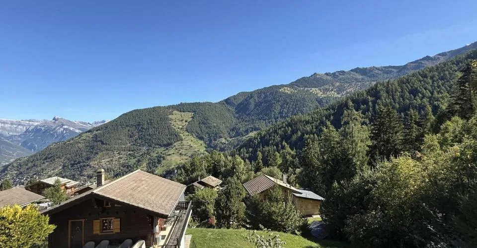 A vendre dans la station de la Tzoumaz studio avec place de parc intérieure – Foto 6 von 7