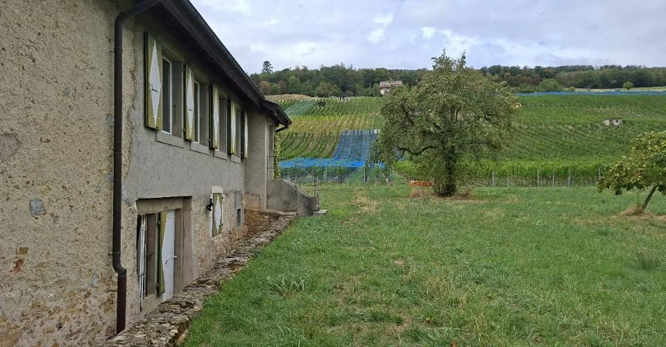 Maison d'habitation de 9.5 pièces – Foto 3 von 10