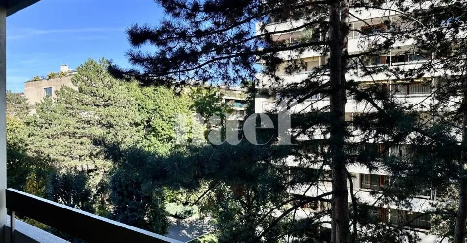 Appartamento di 4 stanze con parcheggio interno a Champel – foto 5 di 13