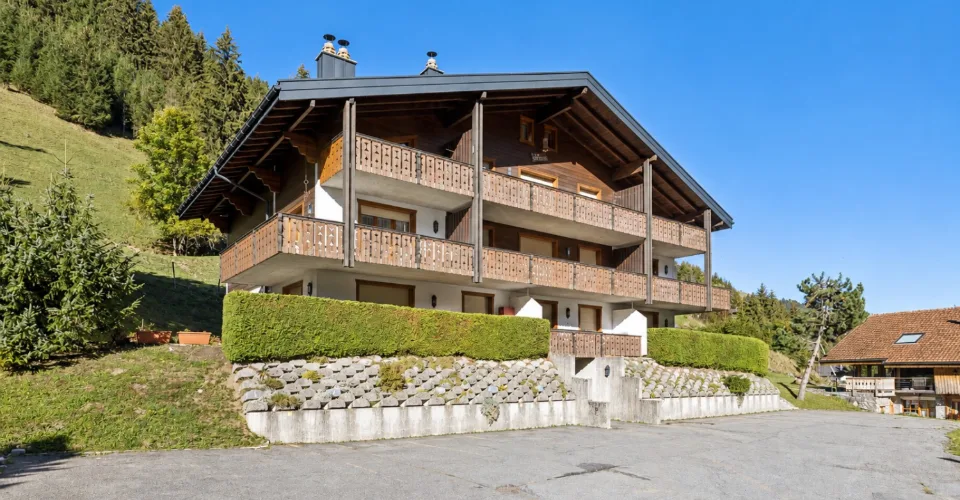 Charmant appartement au coeur de Morgins - Portes du Soleil – Foto 3 von 13