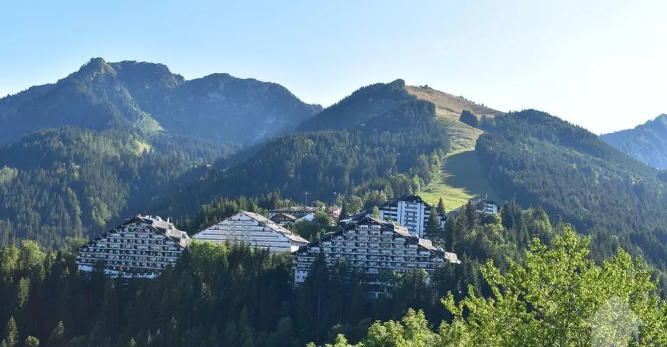 Torgon, 2 pièces vue plaine dans la résidence le Cleuset – Foto 13 von 13