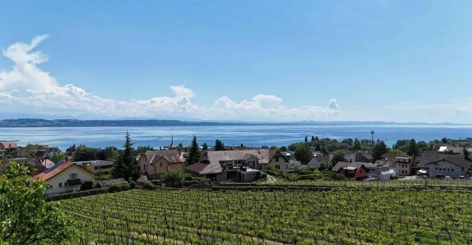 Villa de standing au cœur des vignes avec vue lac imprenable – photo 6 sur 13