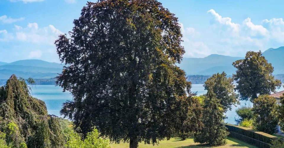 Propriété d'exception à deux pas du lac Léman – photo 12 sur 13