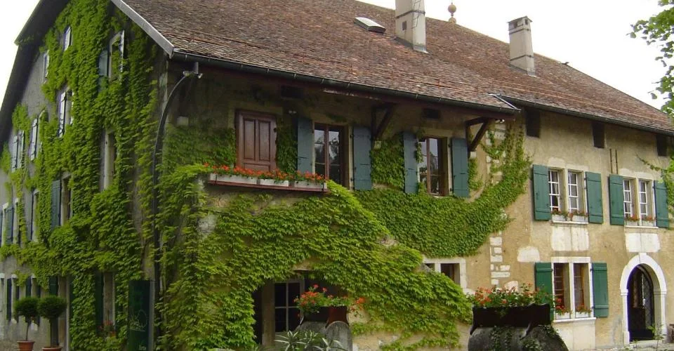 EN EXCLUSIVITE : Magnifique propriété au coeur du vignoble – photo 3 sur 5