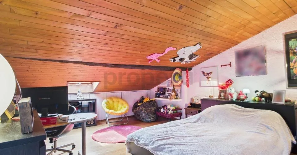 Grande maison de 11 pièces avec cachet - habitation, rendement ou projet mixte – photo 8 sur 13