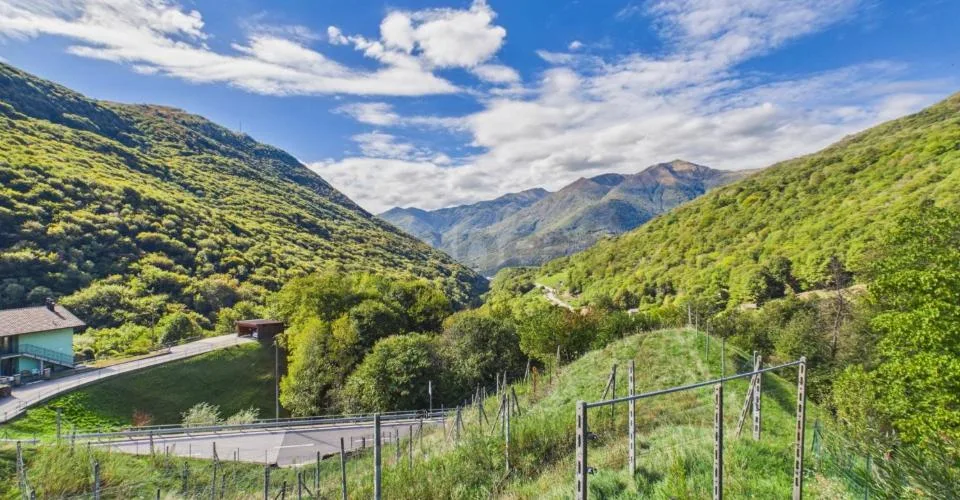 Ampia Superficie Edificabile di 1'389 m², Elevato Potenziale & Posizione Panoramica! – photo 4 of 8