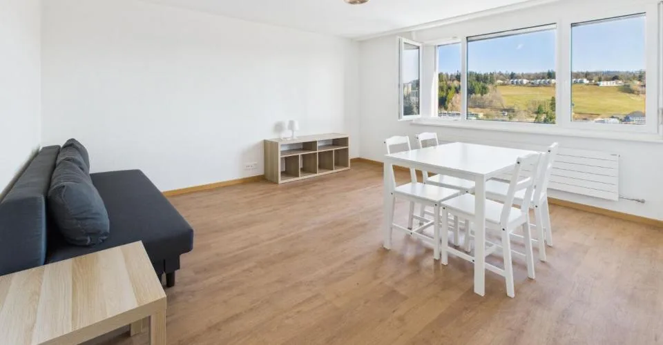 APPARTEMENT DE 2.5 PIÈCES RÉNOVÉ À LA CHAUX-DE-FONDS - À VISITER ! – photo 2 of 12