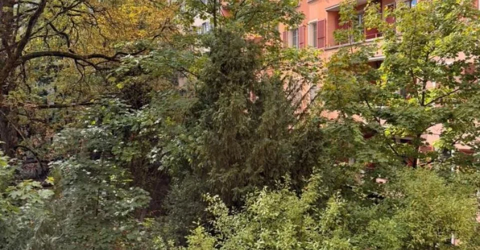 Bel appartement 4 pièces de style ancien au centre-ville de Genève – foto 10 di 12