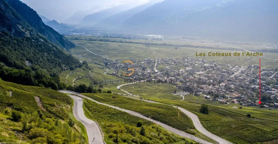 ATTIQUE DE 4,5 PCES NEW PROMOTION - LE VIGNOBLE DE L'ARCHE – photo 5 sur 5