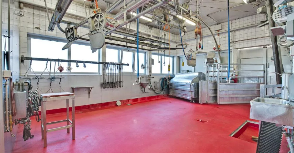 Estavayer-le-Lac, à vendre, bâtiment industriel et artisanal de 200 m2 – foto 5 di 10