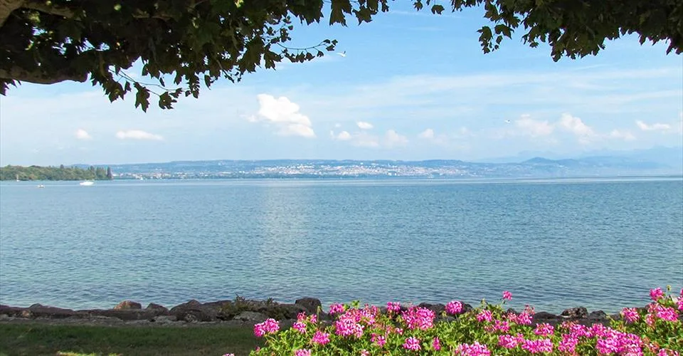 MORGES OUEST - BEAU DUPLEX - 5.5 PIECES – Foto 3 von 3