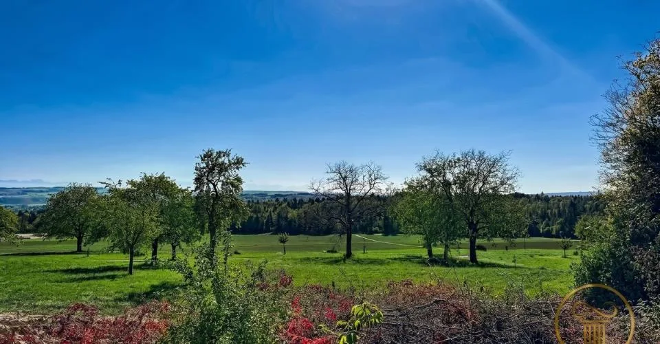 ORGES - immeuble de rendement de 6 appartements avec place-jardin et places de parc – Foto 8 von 11