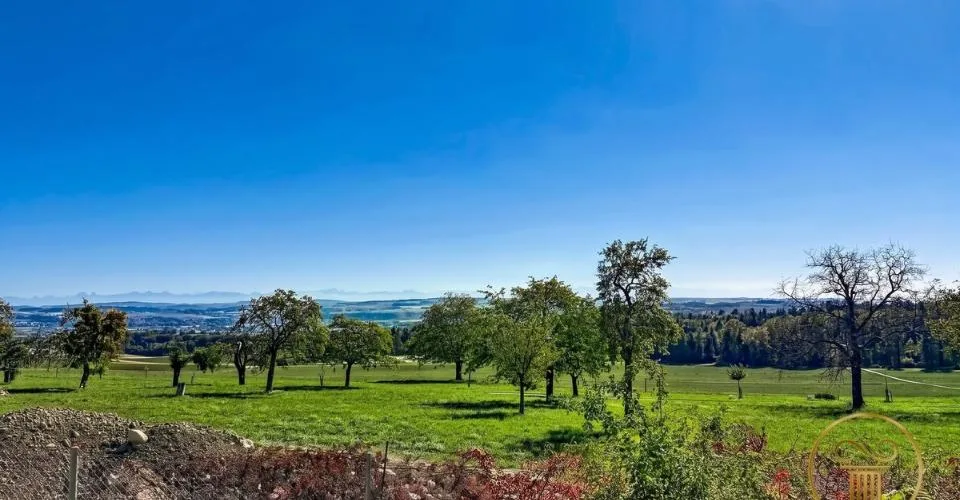 ORGES - immeuble de rendement de 6 appartements avec place-jardin et places de parc – Foto 6 von 11