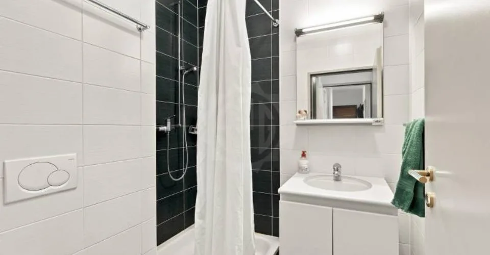 Appartement lumineux - Versoix – foto 7 di 9