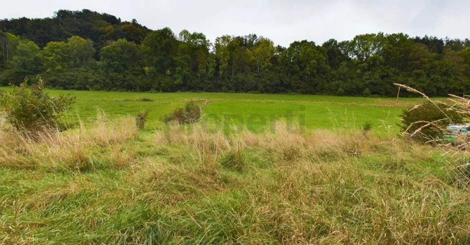 Vielseitiges Baugrundstück in Mischzone M2  648 m² für Wohnen & Gewerbe in Riedtwil – Foto 6 von 8
