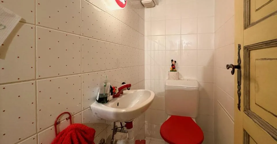 Maison villageoise à Villeneuve - Immeuble de rendement avec 3 appartements – photo 7 of 13