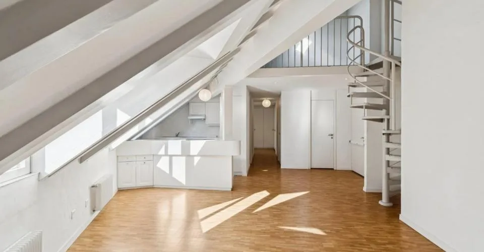CENTRO DI GINEVRA ? STRADE BASSO ? ELEGANTE DUPLEX CON ASCENSORE – foto 2 di 26
