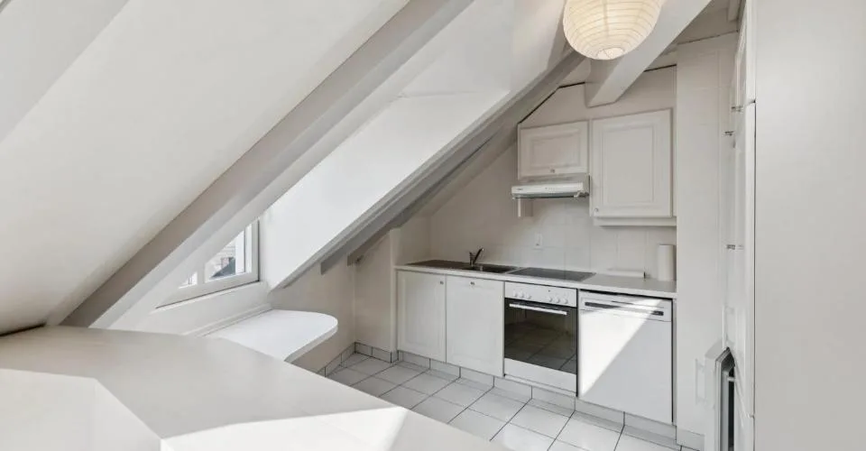 CENTRO DI GINEVRA ? STRADE BASSO ? ELEGANTE DUPLEX CON ASCENSORE – foto 5 di 26