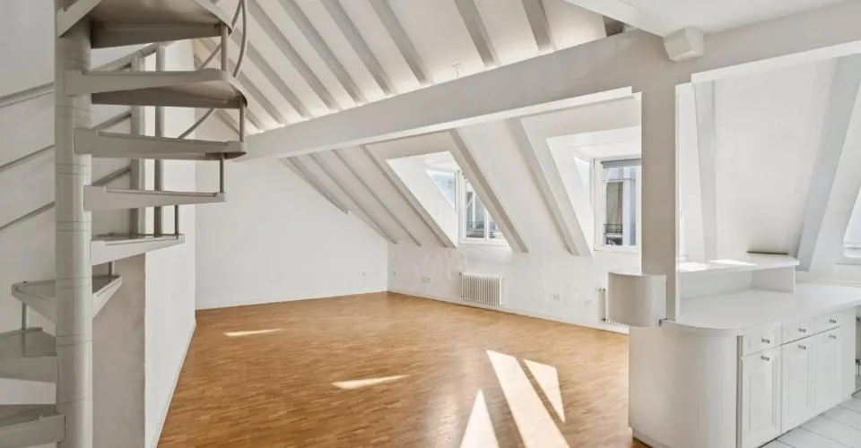 CENTRO DI GINEVRA ? STRADE BASSO ? ELEGANTE DUPLEX CON ASCENSORE – foto 3 di 26