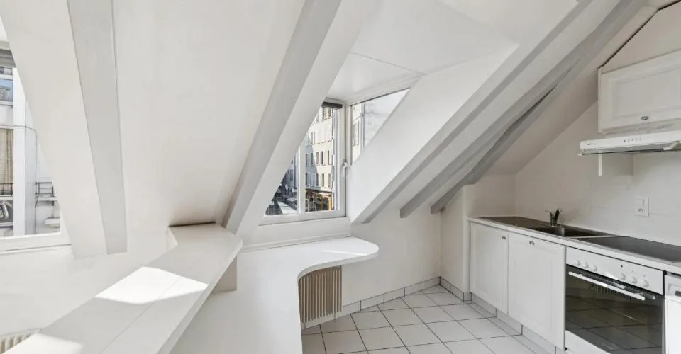 CENTRO DI GINEVRA ? STRADE BASSO ? ELEGANTE DUPLEX CON ASCENSORE – foto 4 di 26