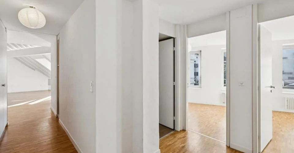 CENTRO DI GINEVRA ? STRADE BASSO ? ELEGANTE DUPLEX CON ASCENSORE – foto 6 di 26