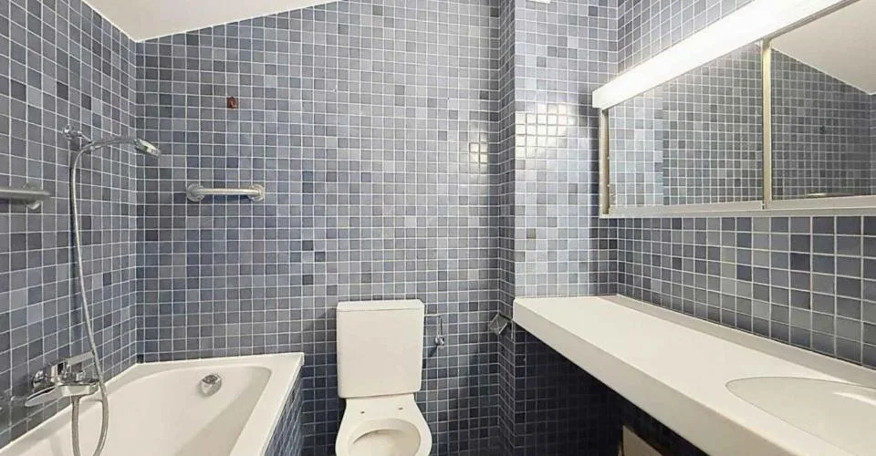 Villa jumelle de 9 pièces avec jardin clos à Thônex – foto 9 di 11