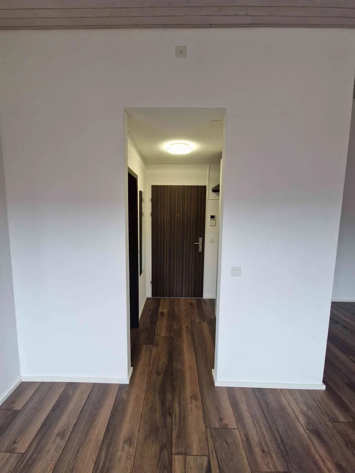 Charmante 1.5 Zimmer Dachwohnung in Thun