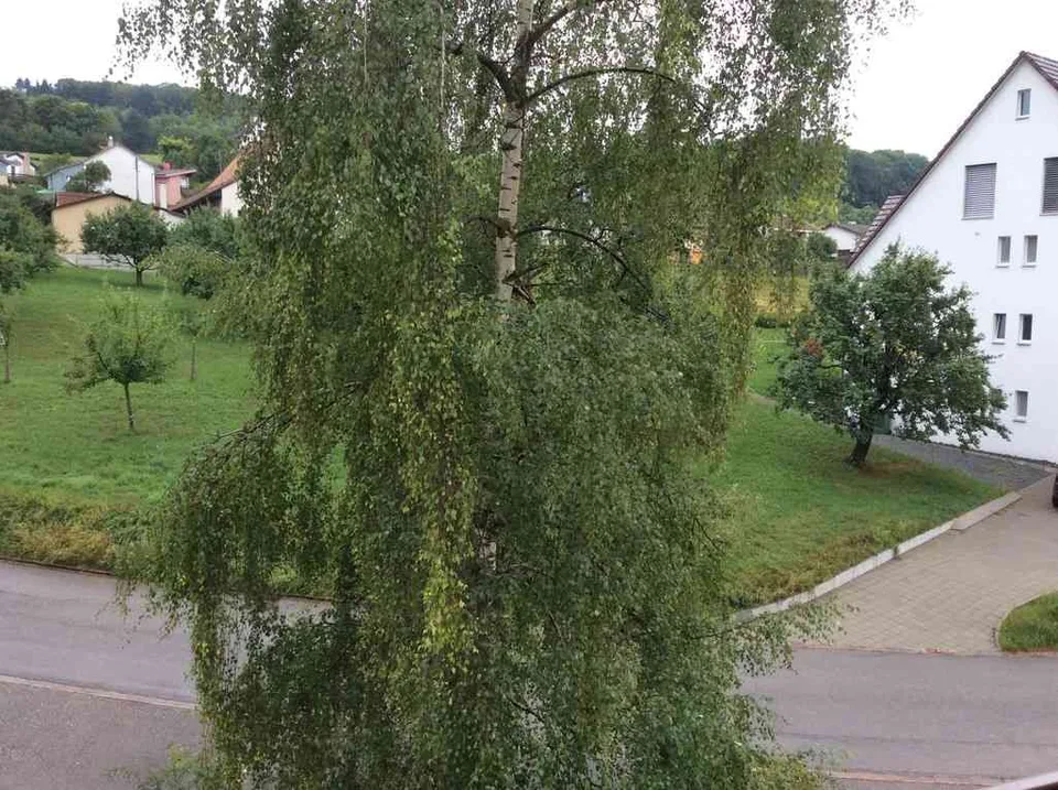 Sehr helle und grosszügige 5 Zimmer Dachwohnung – foto 20 di 22