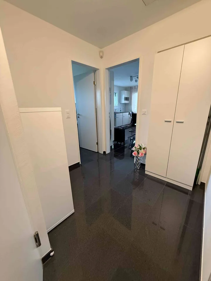 Exklusive 2.5 Zimmer Attikawohnung mit grosser Südterrasse – Foto 12 von 13
