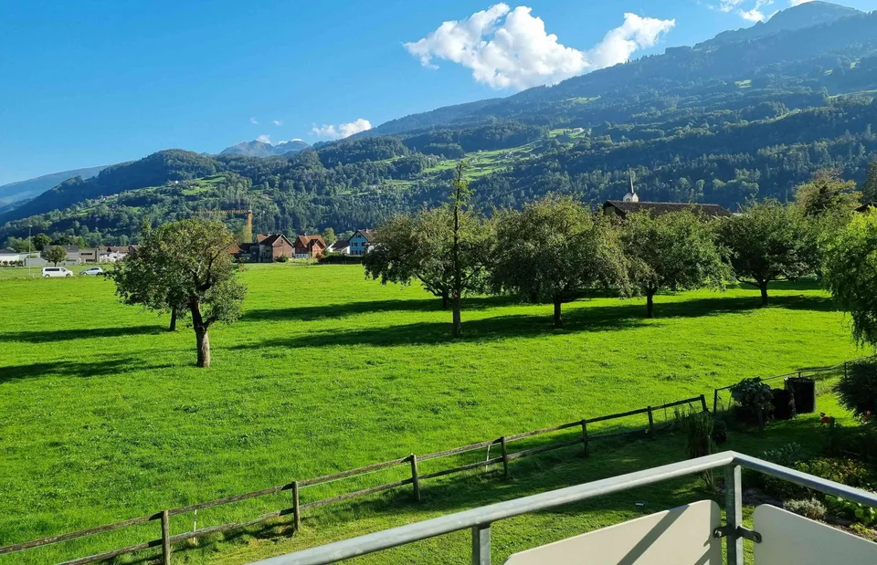 Neu renovierte 4.5 Zimmer Wohnung, mit unverbauter Aussicht ins Grüne