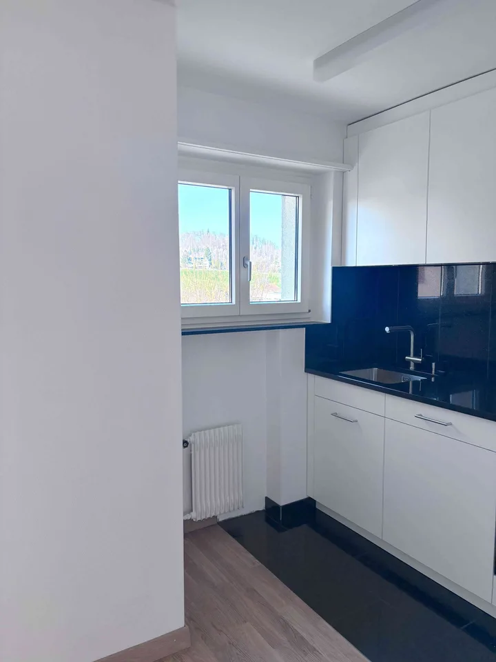 Traumhafte 4.5 Zimmer Wohnung - Erstvermietung nach Sanierung (Nr. 3)