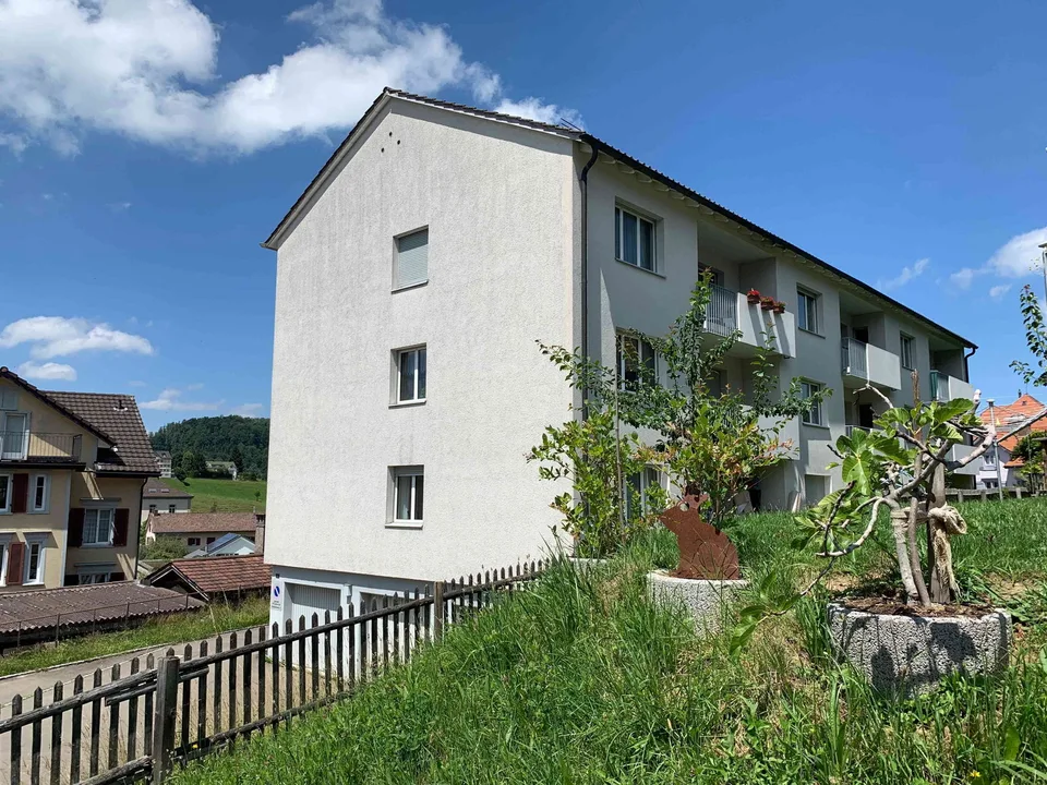 Frisch sanierte 3.5 Zimmer Wohnung mit Blick ins Grüne