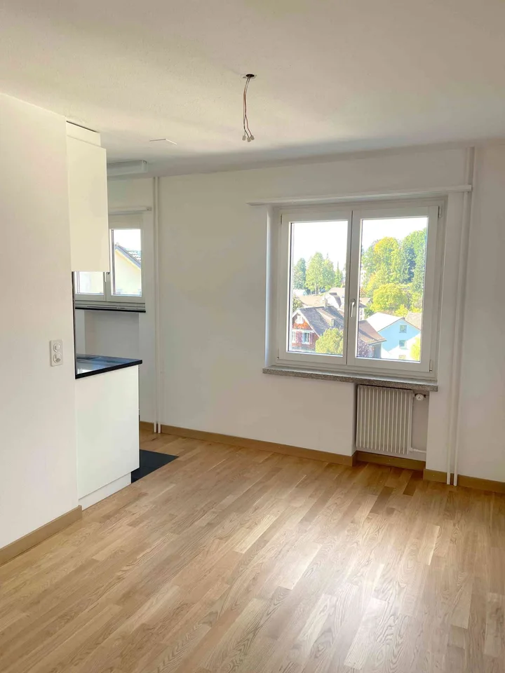Frisch sanierte 3.5 Zimmer Wohnung mit Blick ins Grüne