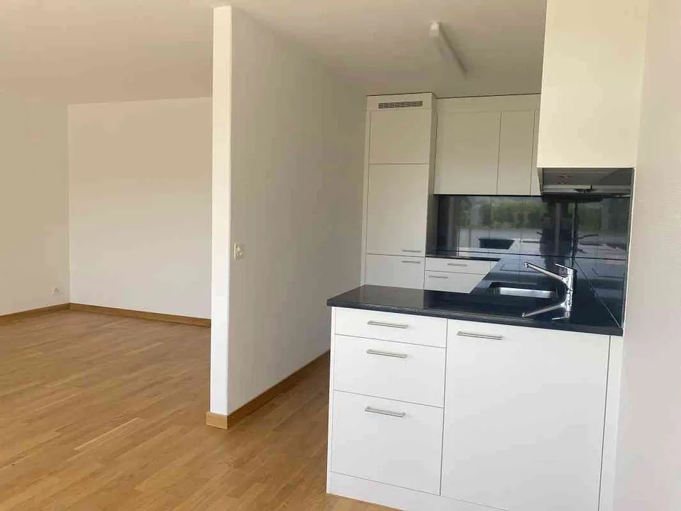 Wunderschöne 3.5 Zimmer Wohnung mit Ausblick ins Gründe (Nr. 4)