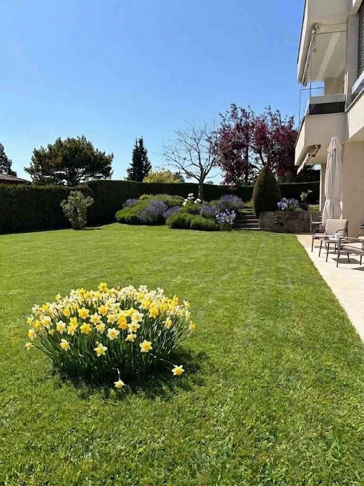 Appartement lumineux de 3,5 pcs, CHF 1'000'000.-, avec grand jardin