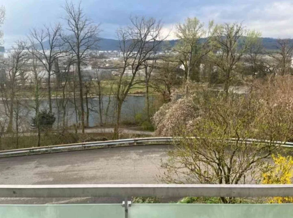 Helle 4.5Z Wohnung mit Cheminée und Limmatblick