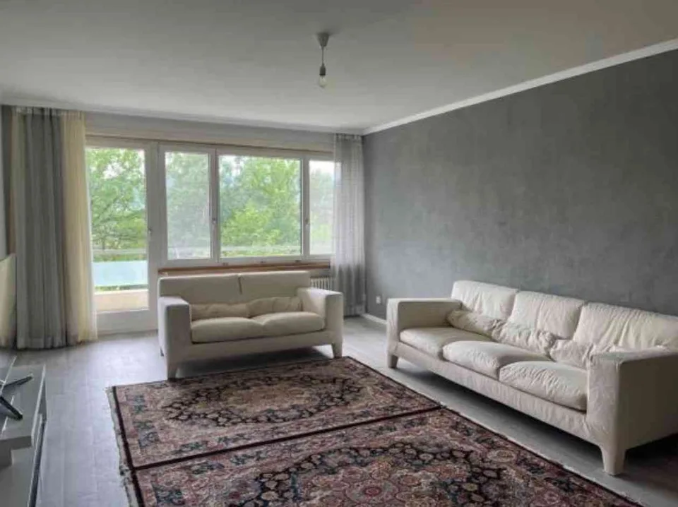 Helle 4.5Z Wohnung mit Cheminée und Limmatblick