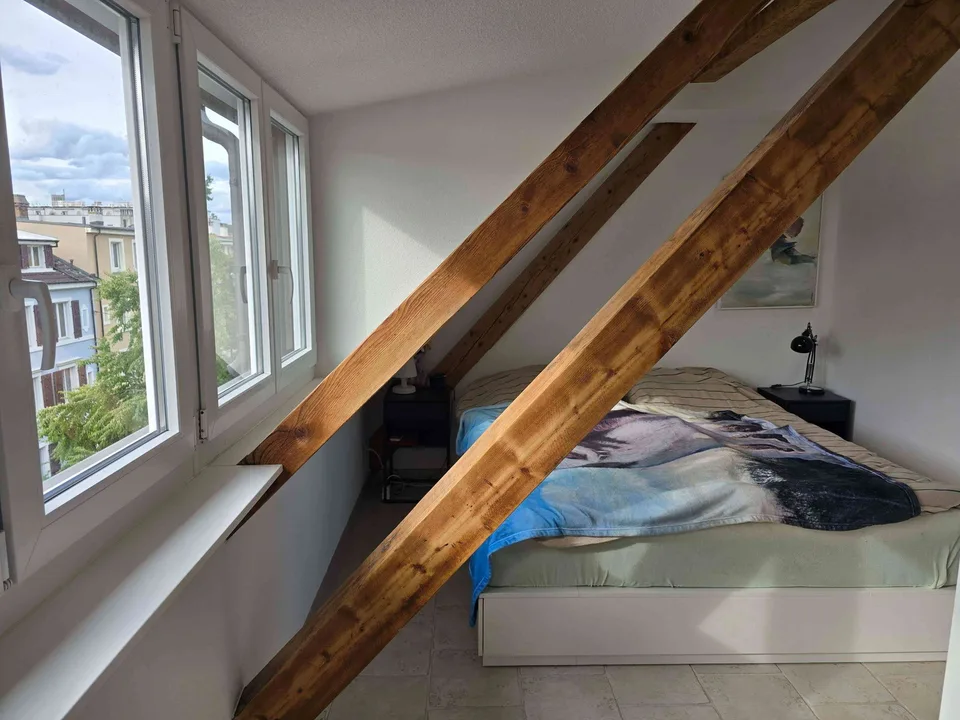 Einzigartiges Dachgeschoss-Loft mit 110 m²