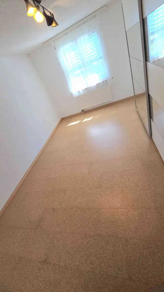 5.5 Zimmer Terrassen Wohnung an zentraler Lage u Seesicht