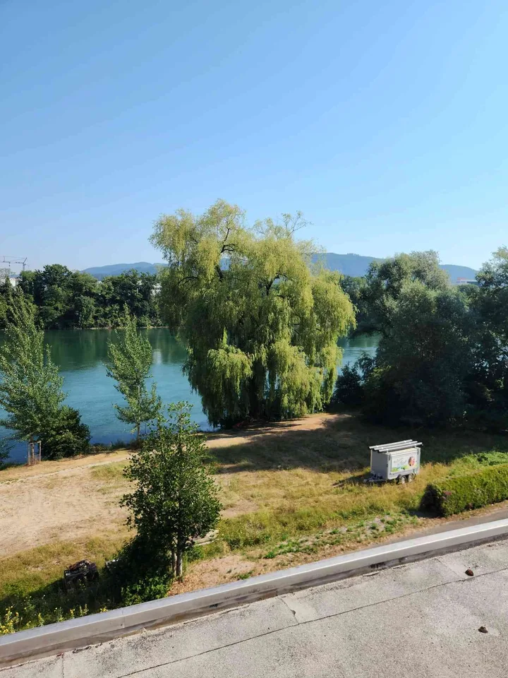 Rheinblick inklusive – 2-Zimmer-Wohnung in Mumpf