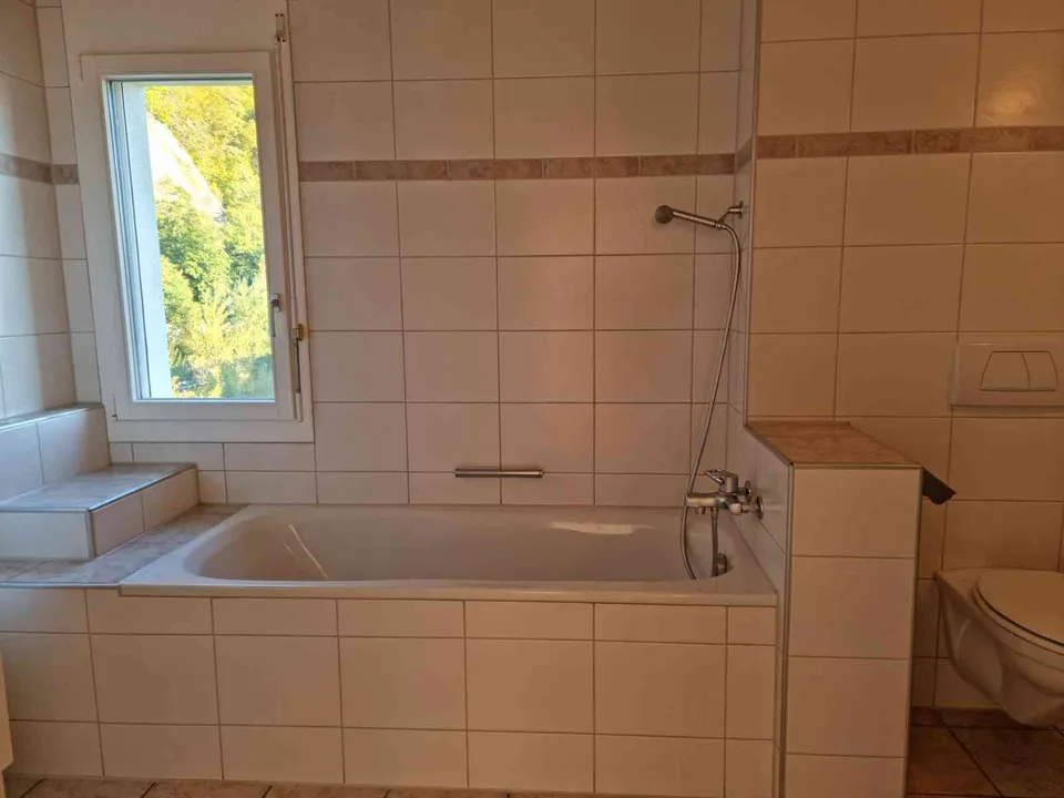 Wohnung an der Emme