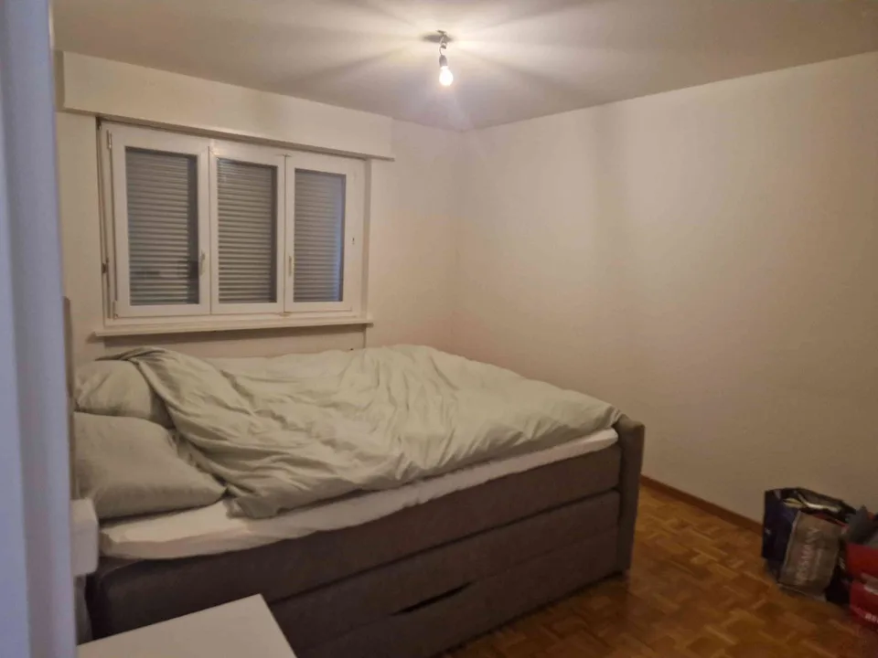 Wohnung Rudolfstetten