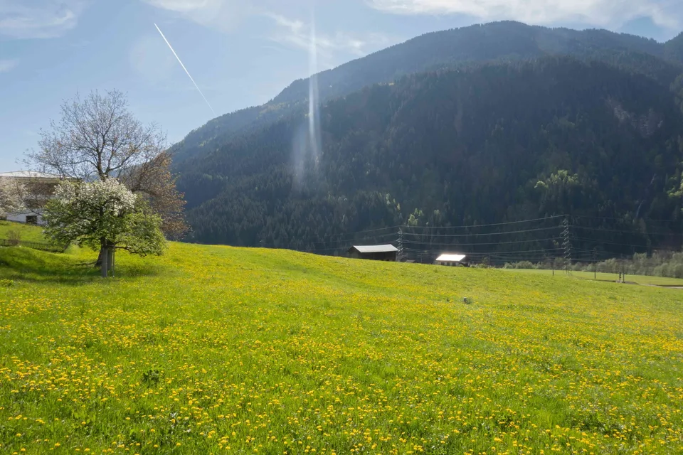 Bauland in Rabius (Surselva, Kanton Graubünden) zu verkaufen (V02)