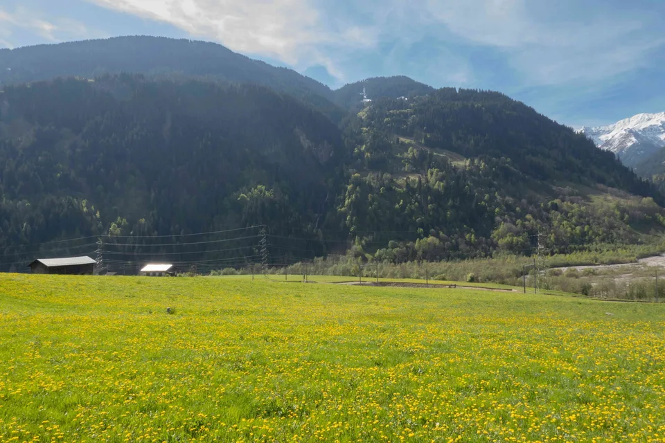 Bauland in Rabius (Surselva, Kanton Graubünden) zu verkaufen (V02)