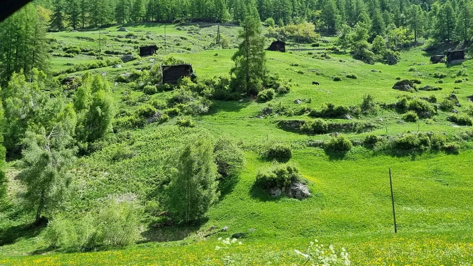 Bauland in Täsch